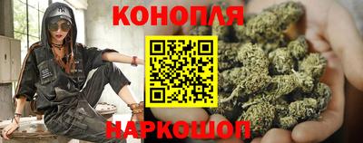 2c-b Новозыбков