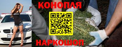 тгк Новокубанск
