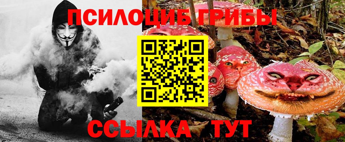 Галлюциногенные грибы Psilocybine cubensis Фрязино