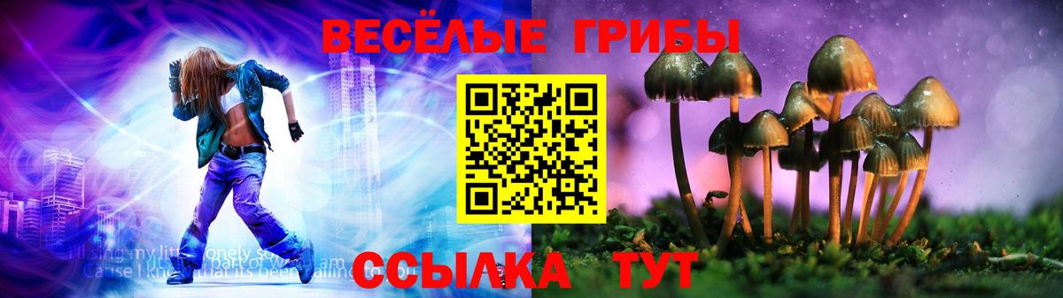 Фрязино  Галлюциногенные грибы Psilocybine cubensis  где найти   Вход с VPN  Галлюциногенные грибы мицелий 
